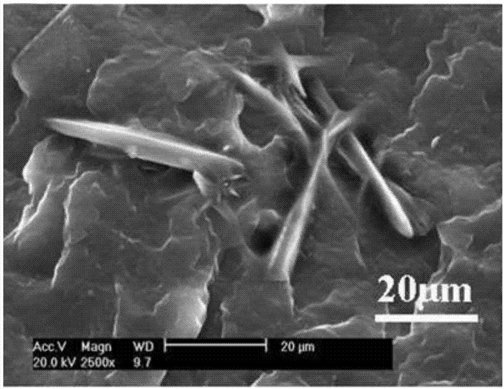 A functionalized synthetic fiber capable of removing formaldehyde and its preparation and application