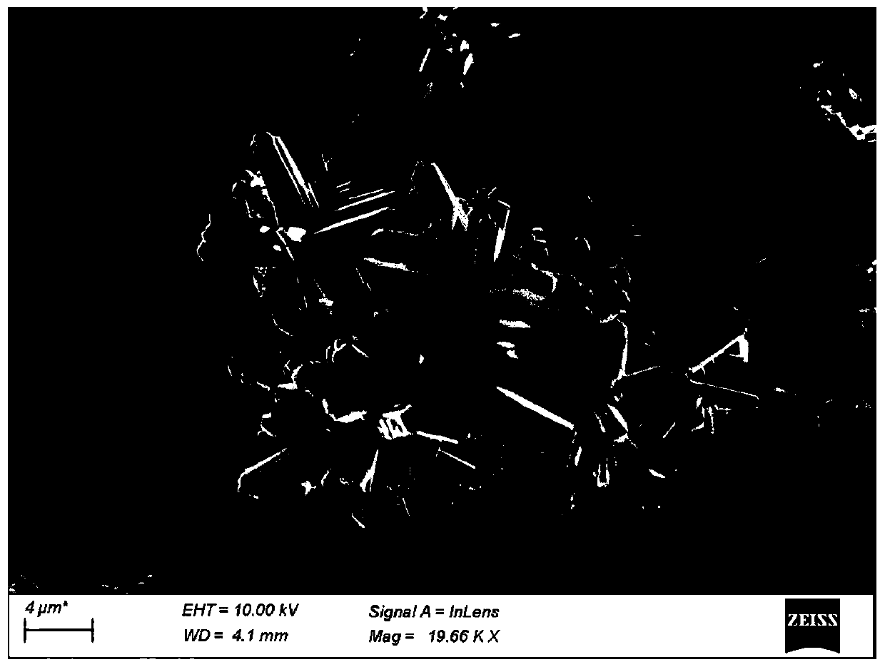 Catalyst for preparing chlorine by oxidizing hydrogen chloride, preparation method and applications thereof