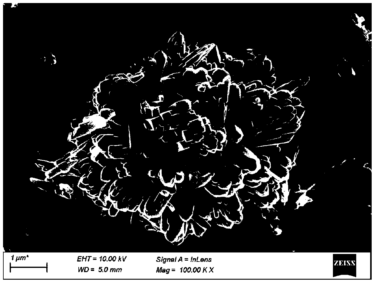 Catalyst for preparing chlorine by oxidizing hydrogen chloride, preparation method and applications thereof