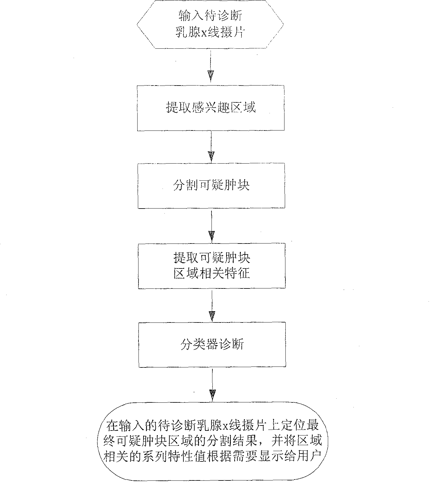 Galactophore cancer computer auxiliary diagnosis system based on galactophore X-ray radiography