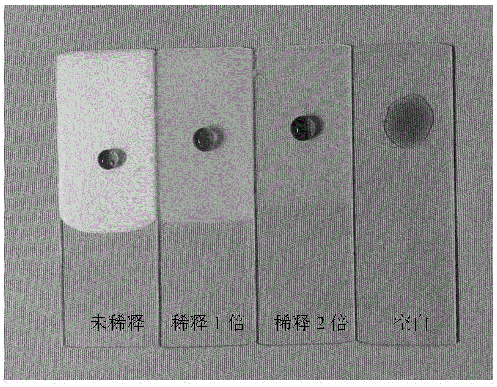 Method for preparing superhydrophobic coating layer through composite of inorganic nano-particles with different average particle sizes