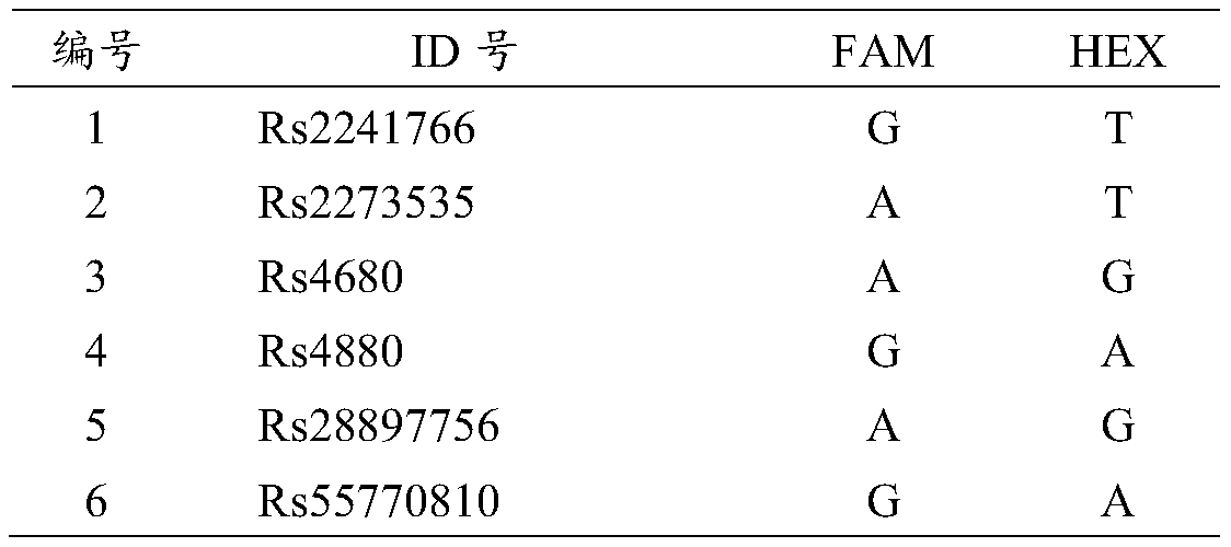 Kit for detecting human breast cancer susceptibility genotyping and use method and application thereof