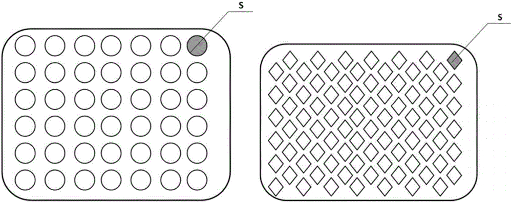 Biological patch for pelvic floor, and preparation method of biological patch