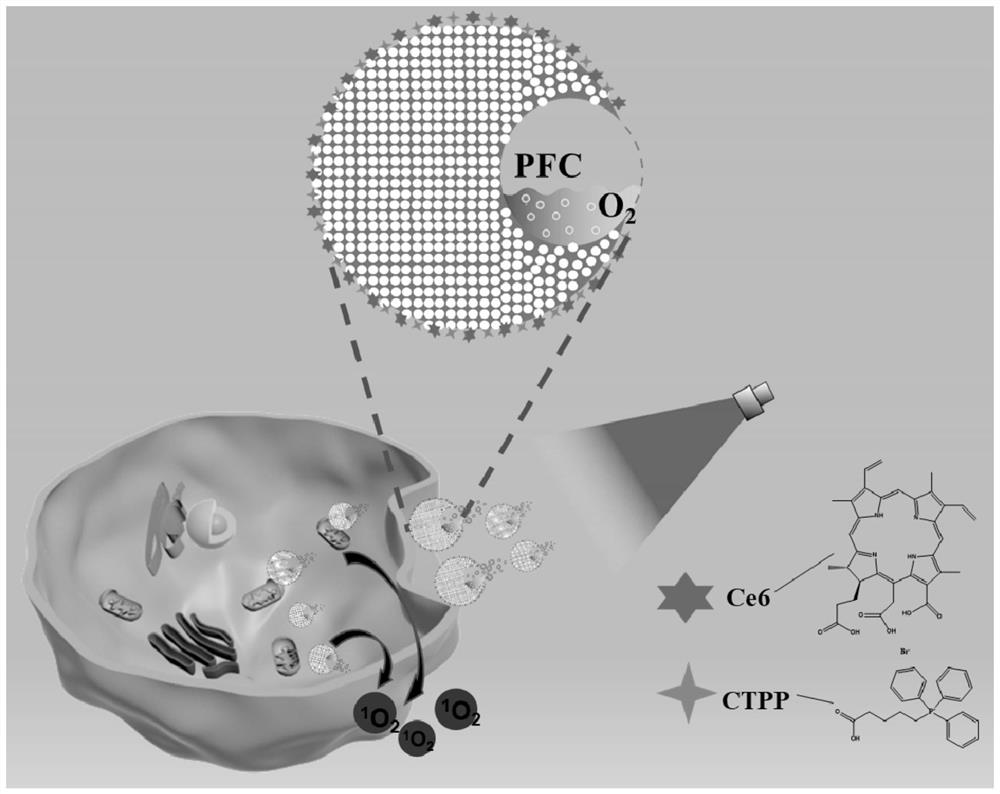 Oxygen-carrying mitochondrial targeting photodynamic therapy nano platform, preparation method and application