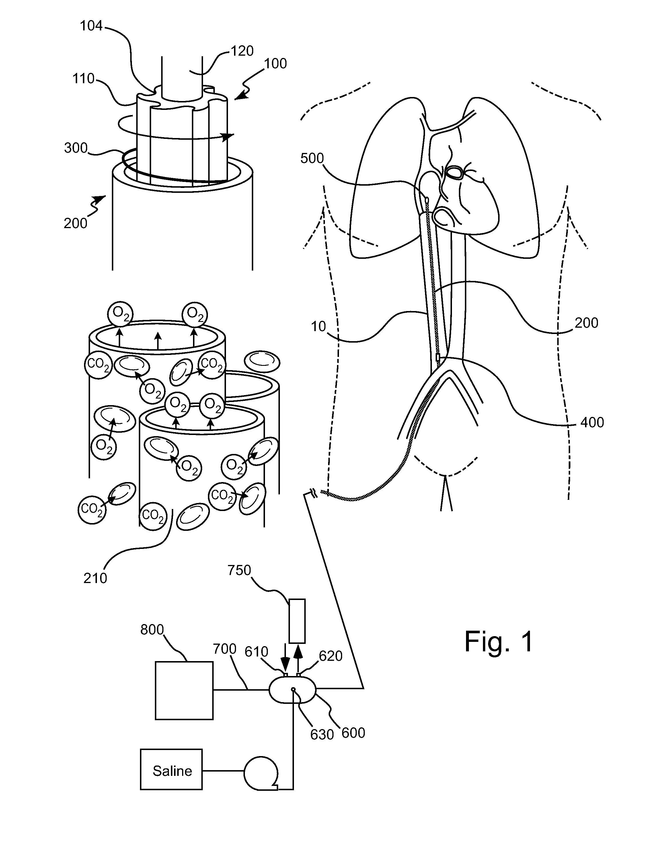 Intracorporeal gas exchange devices, systems and methods