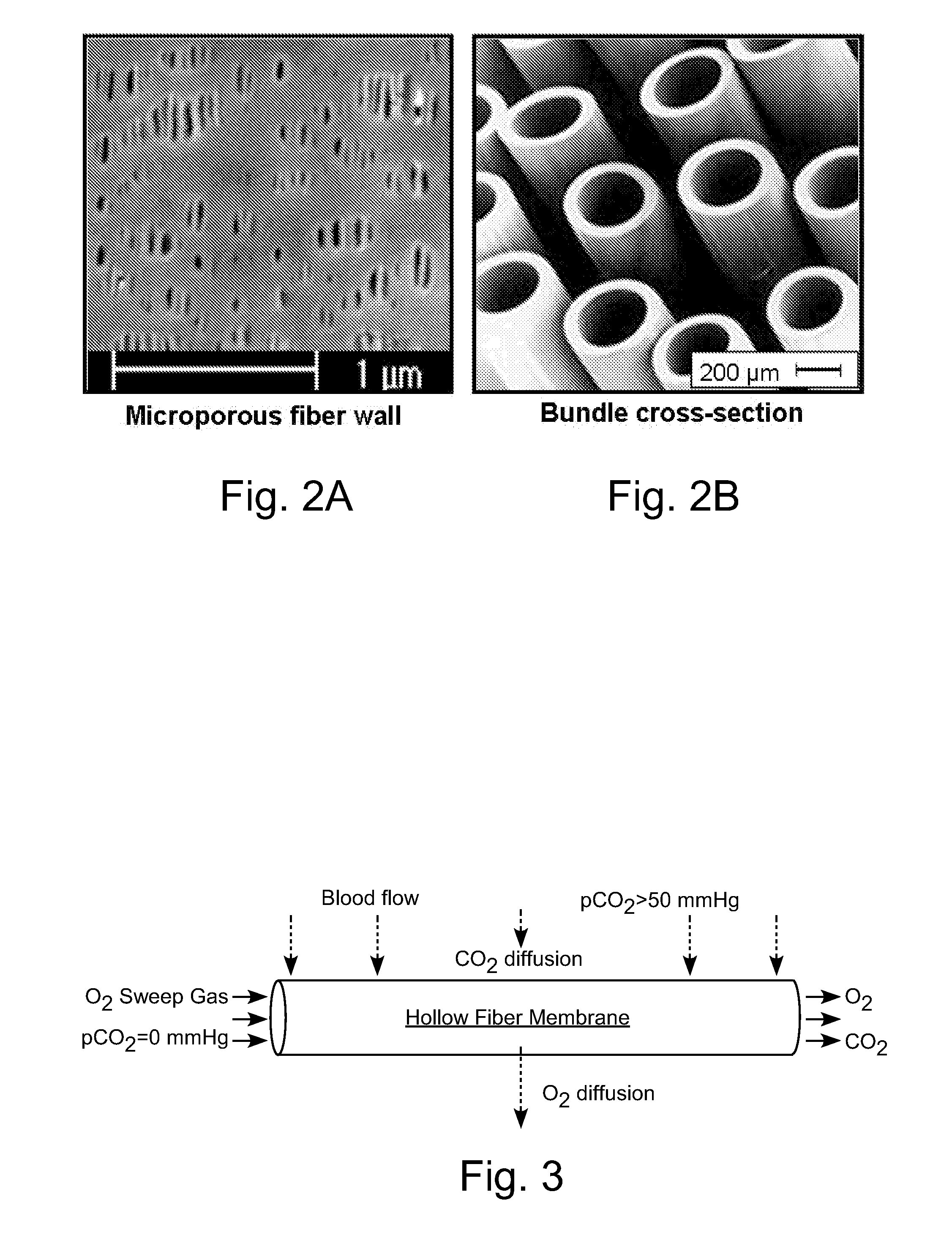 Intracorporeal gas exchange devices, systems and methods