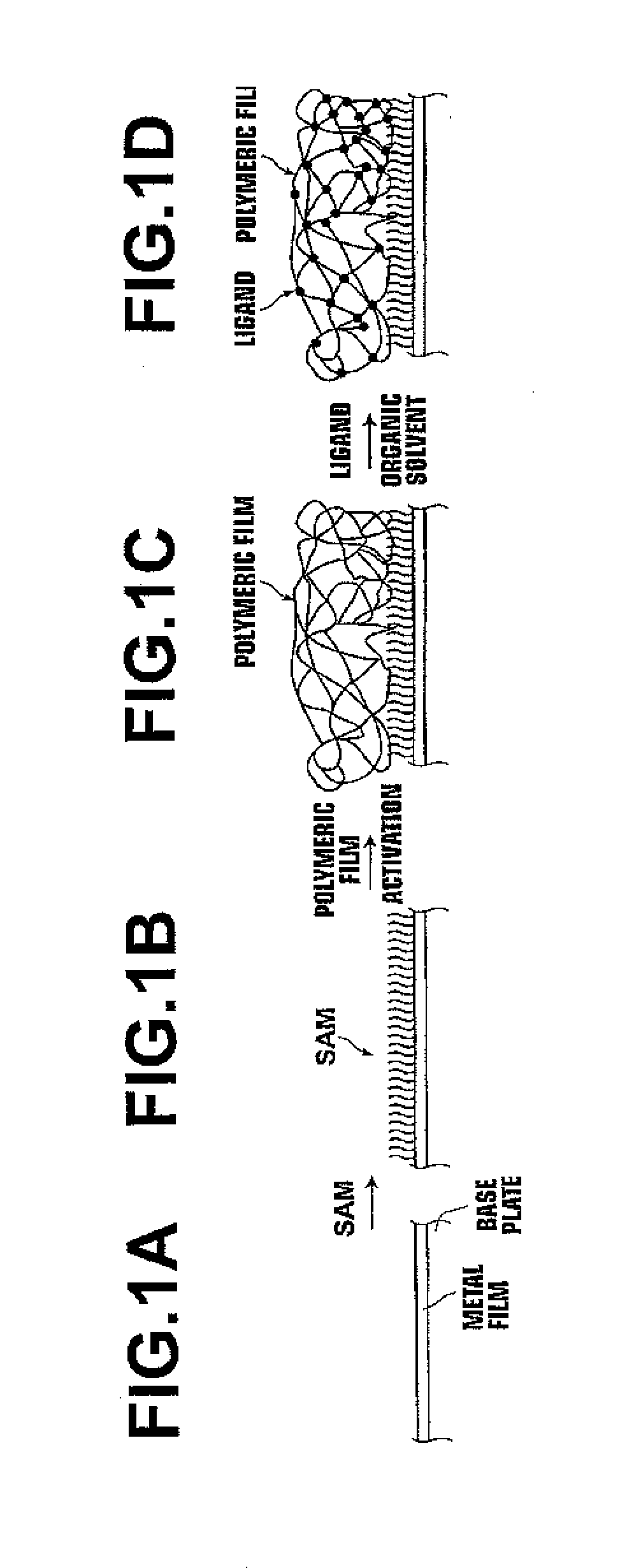 Carrier, process for producing same, bioreactor, and chip for surface plasmon resonance analysis