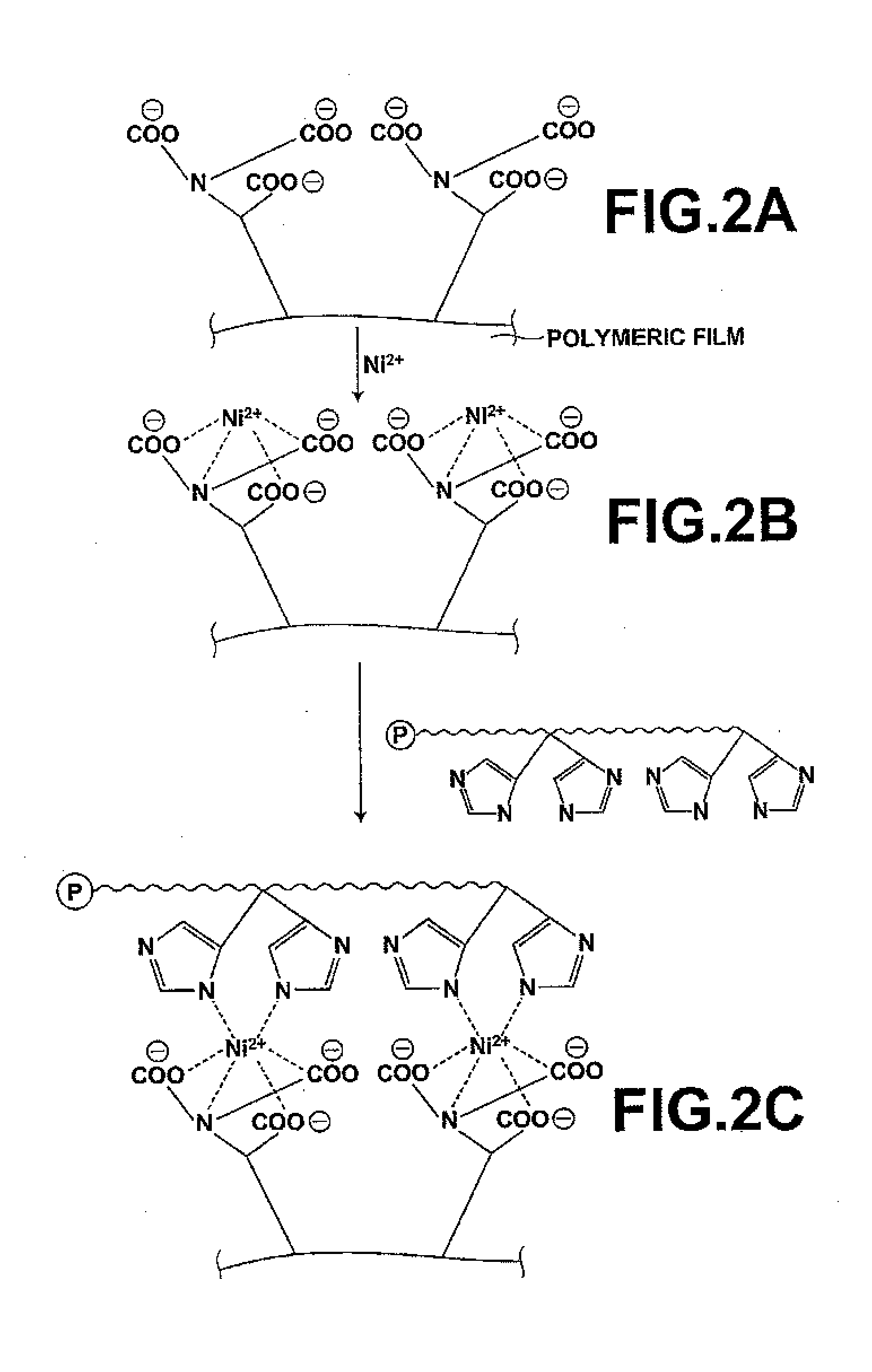 Carrier, process for producing same, bioreactor, and chip for surface plasmon resonance analysis