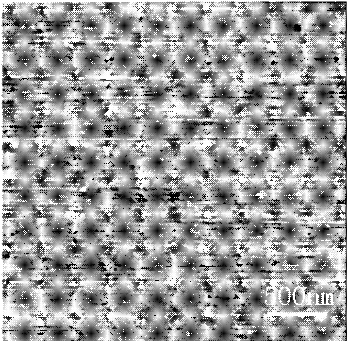 Method for epitaxially growing strontium titanate (STO) thin film on gallium arsenide (GaAs) substrate