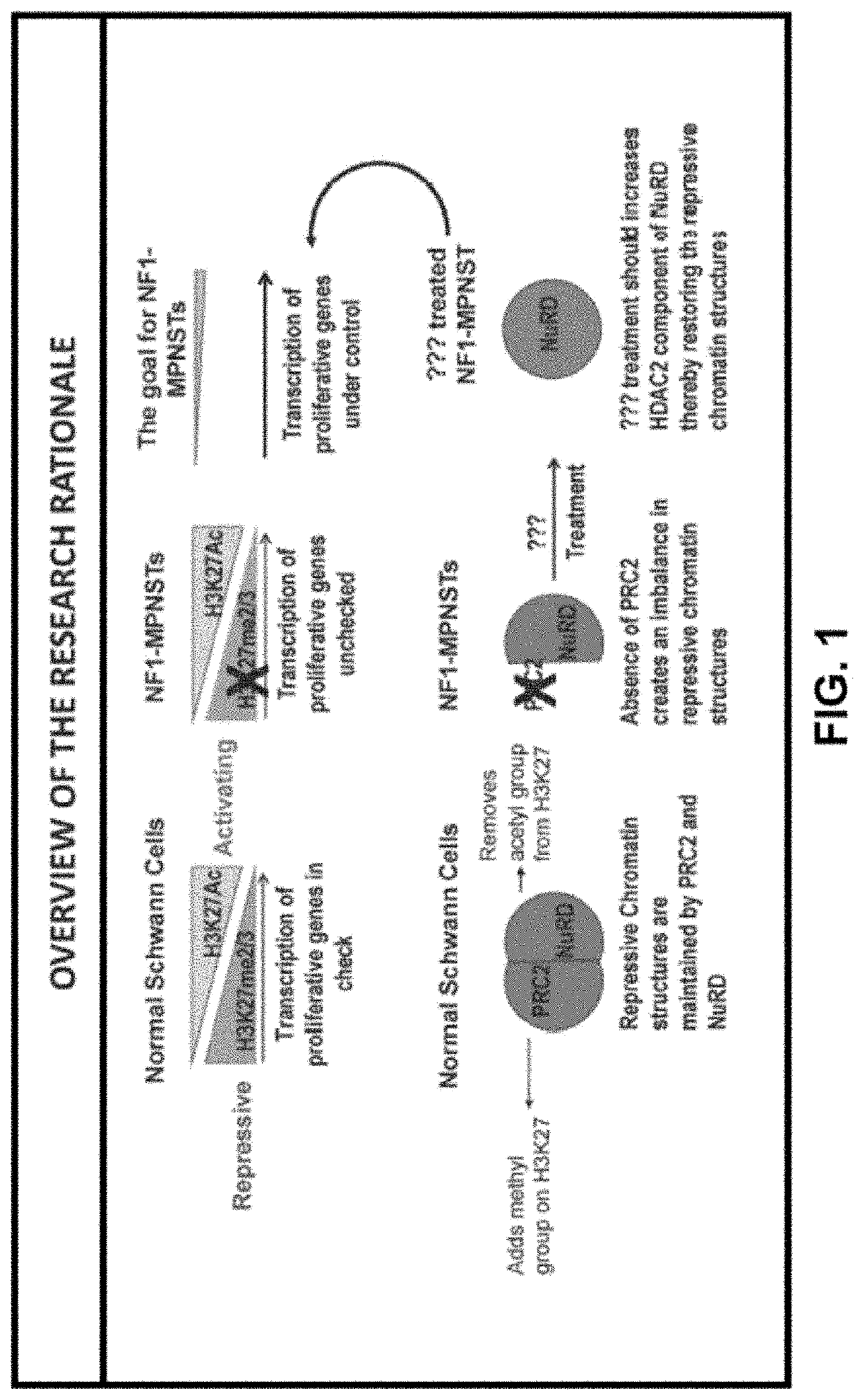 Pharmaceutical Composition for Treating Cancer