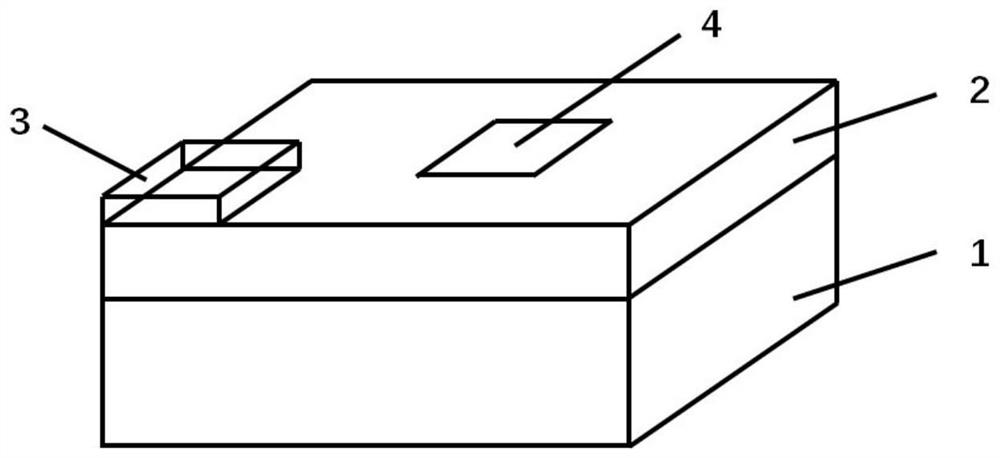 Preparation method of gallium nitride molybdenum disulfide mixed-scale pn junction