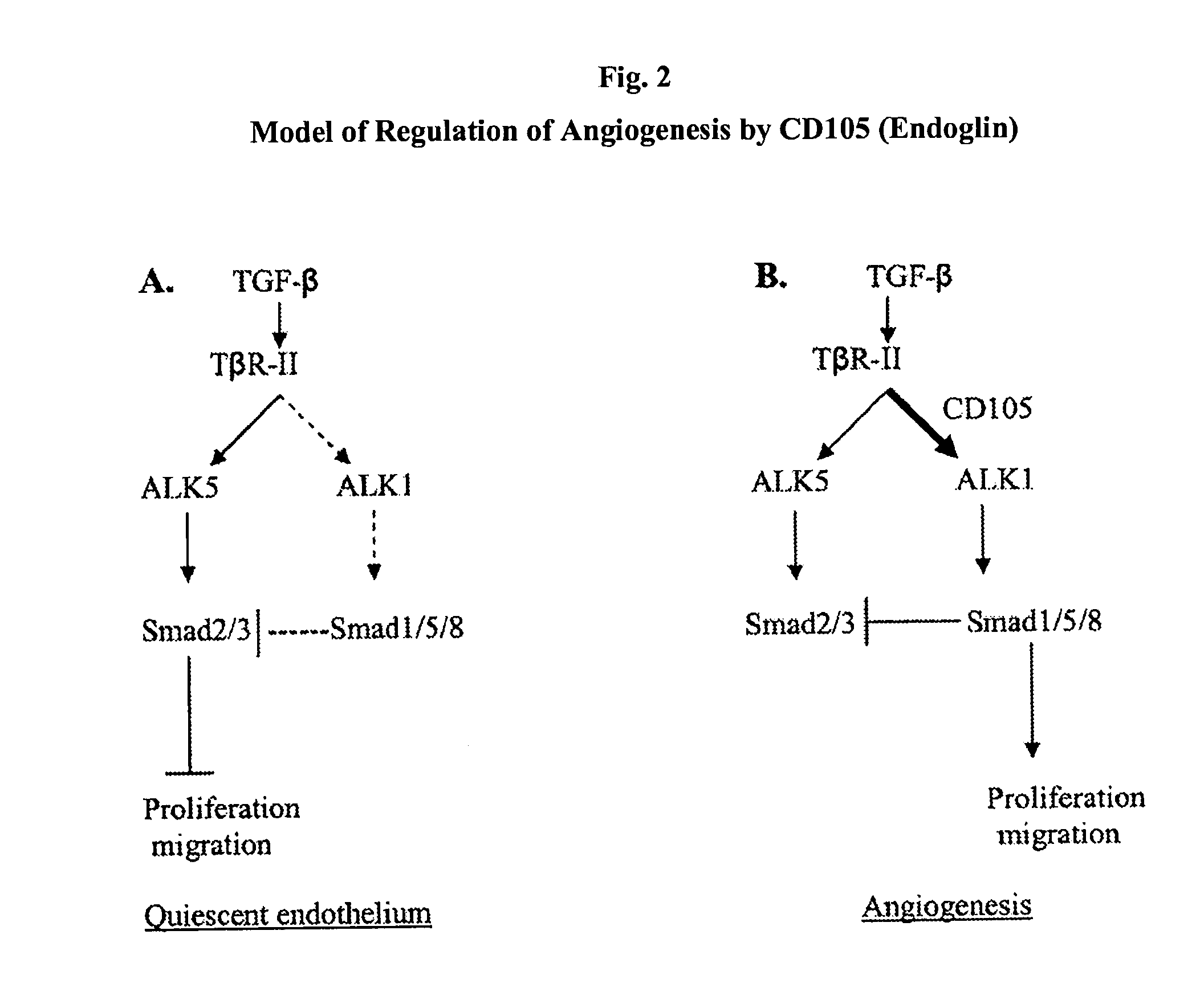 Antibody Formulations and Uses Thereof