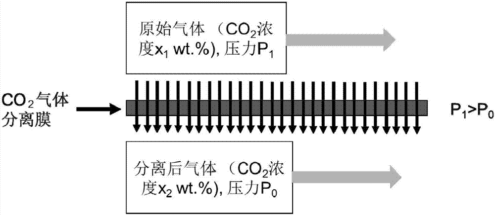 Environmentally friendly liquid-supported carbon dioxide separation membrane
