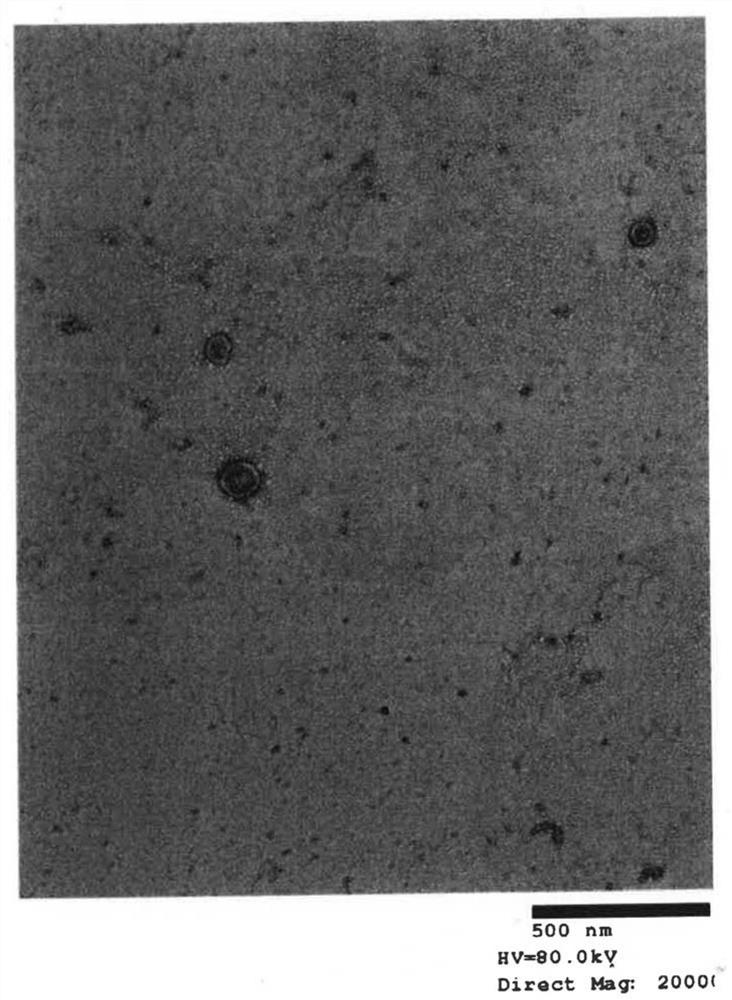 Method for manufacturing immunotherapy vaccine