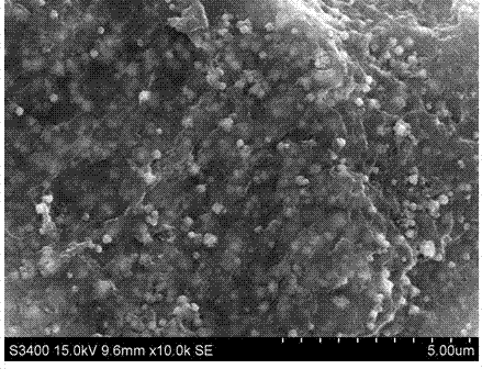 Preparation for silver phosphate nano ball-graphene composite material and photocatalysis application