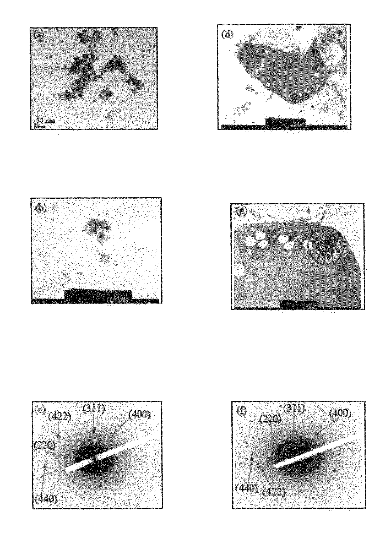 Magnetic nanocomposite for inhibiting/treating cancer and method for fabricating the same