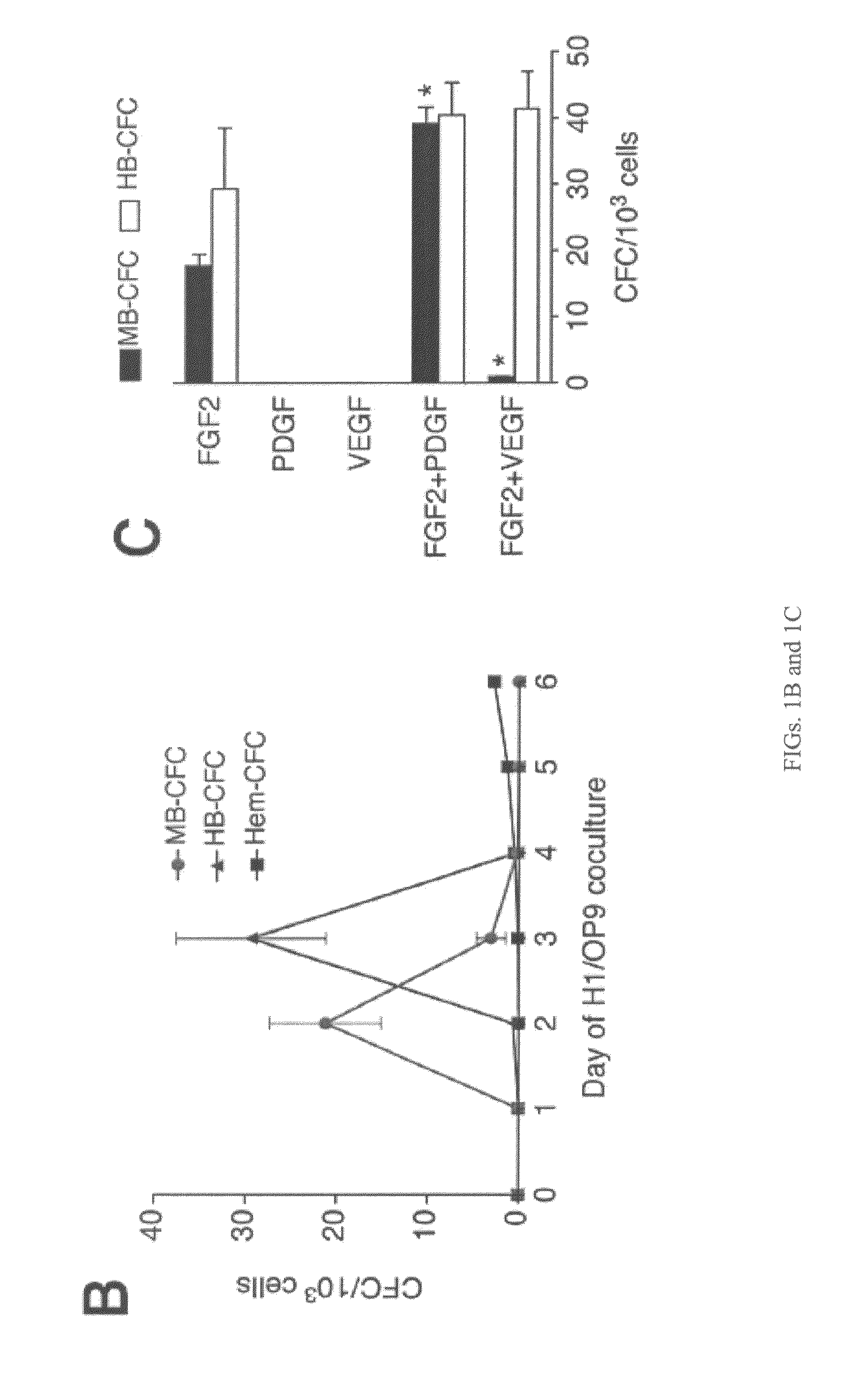 Generation of clonal mesenchymal progenitors and mesenchymal stem cell lines under serum-free conditions