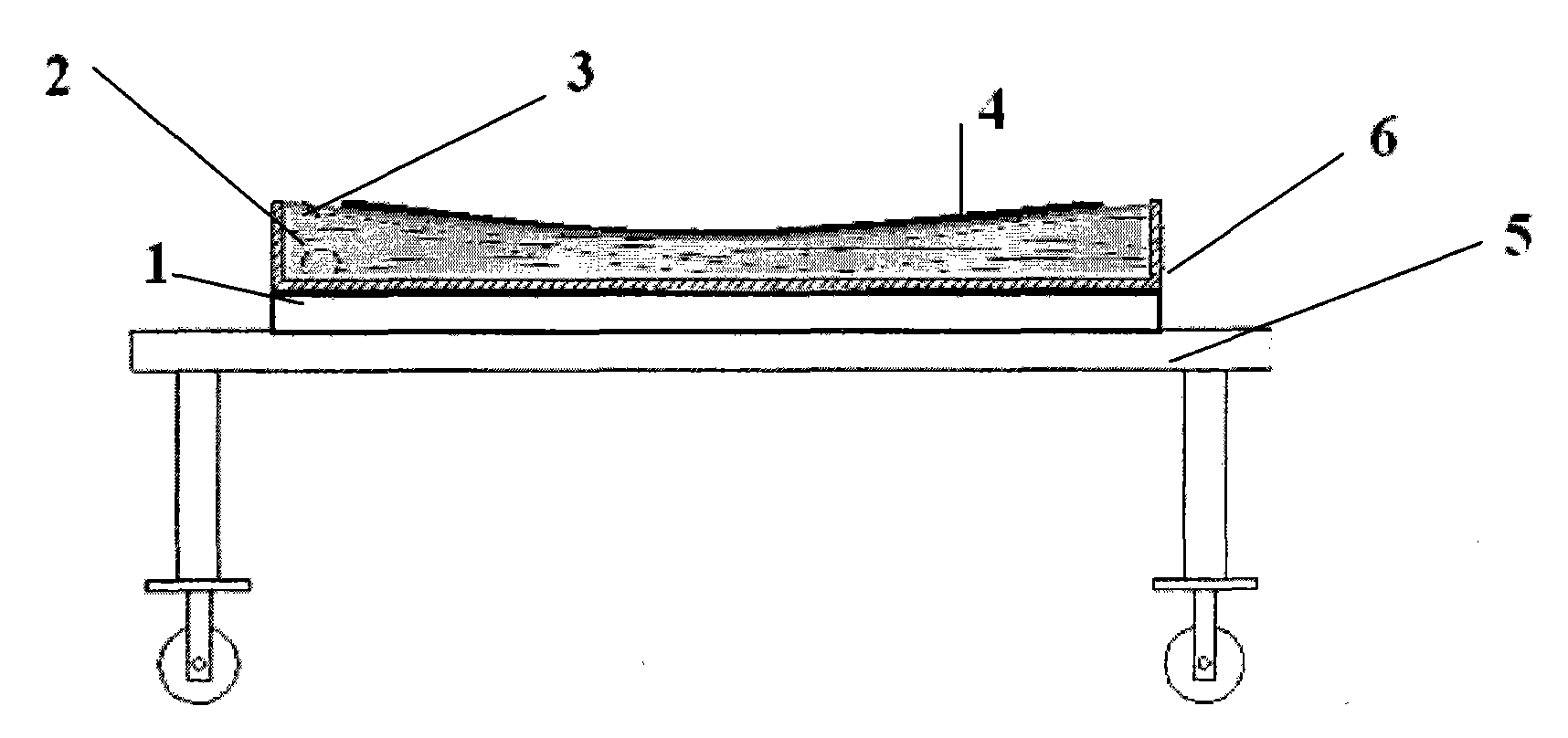 Fixing device for use in inspection of skin parts