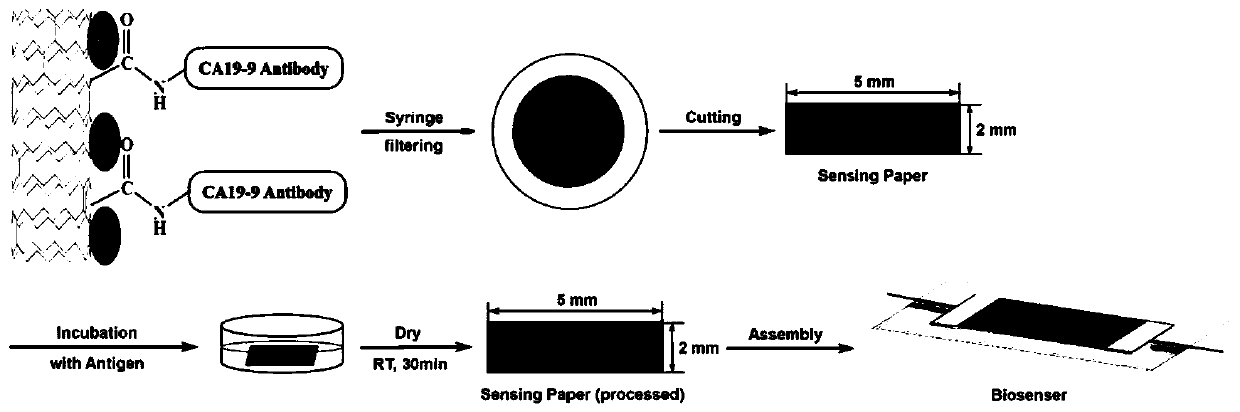 Paper-based sensor element for detecting cancer antigens and preparation method of paper-based sensor element