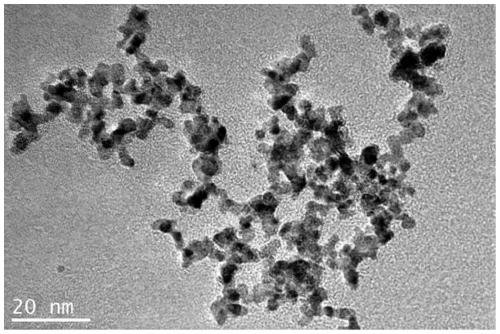 Preparation method and application of nano-limited-range photocatalytic hydrogel