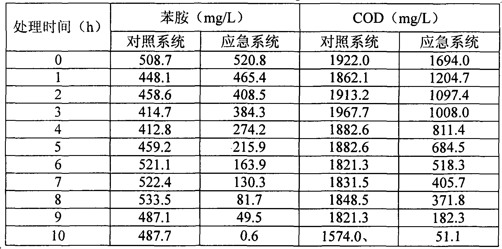 Effective phenylamine degrading strain as well as use and use method thereof