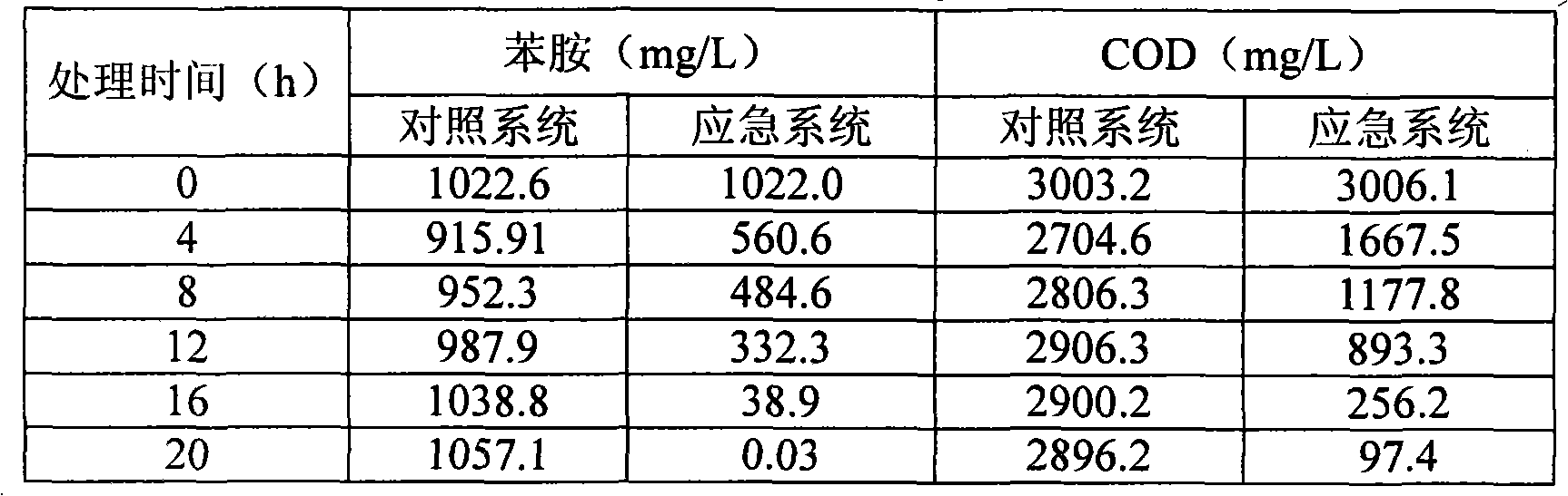 Effective phenylamine degrading strain as well as use and use method thereof
