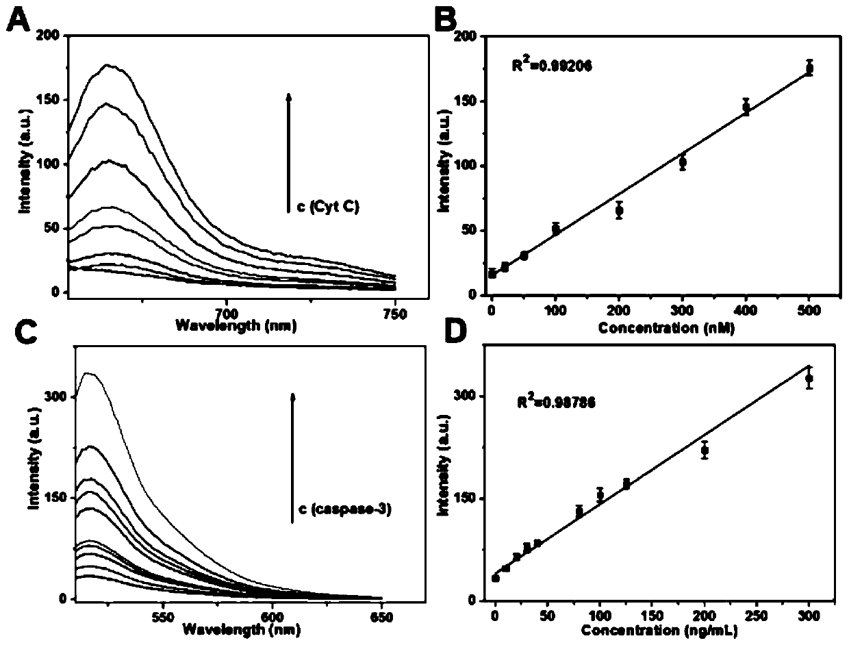 A dual-color detection and imaging probe of apoptosis and its application