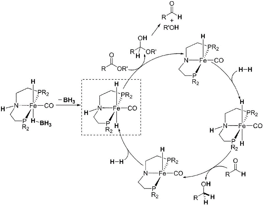 Homogeneous hydrogenation of esters employing a complex of iron as catalyst