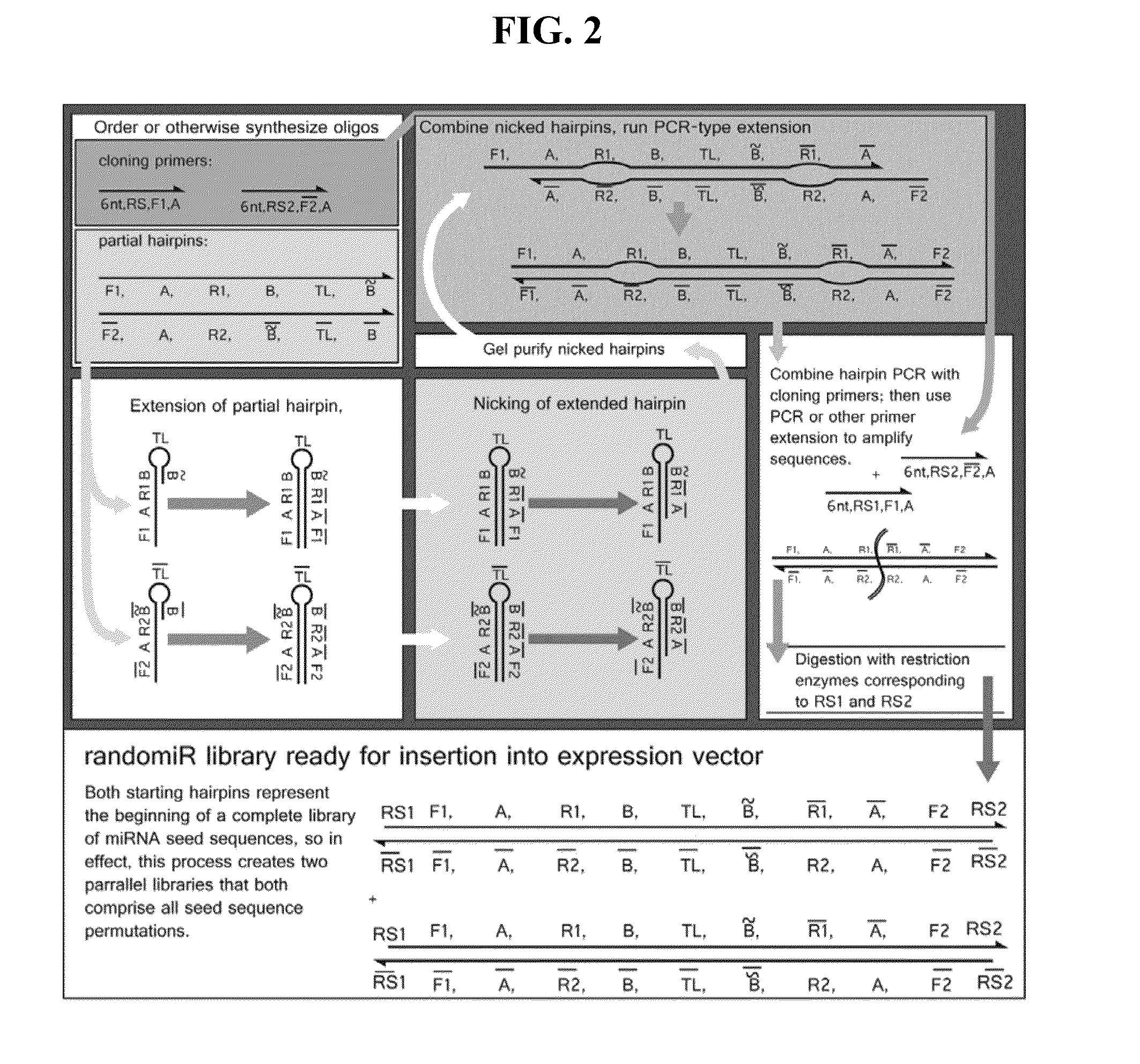 Pri-mirna libraries and methods for making and using pri-mirna libraries