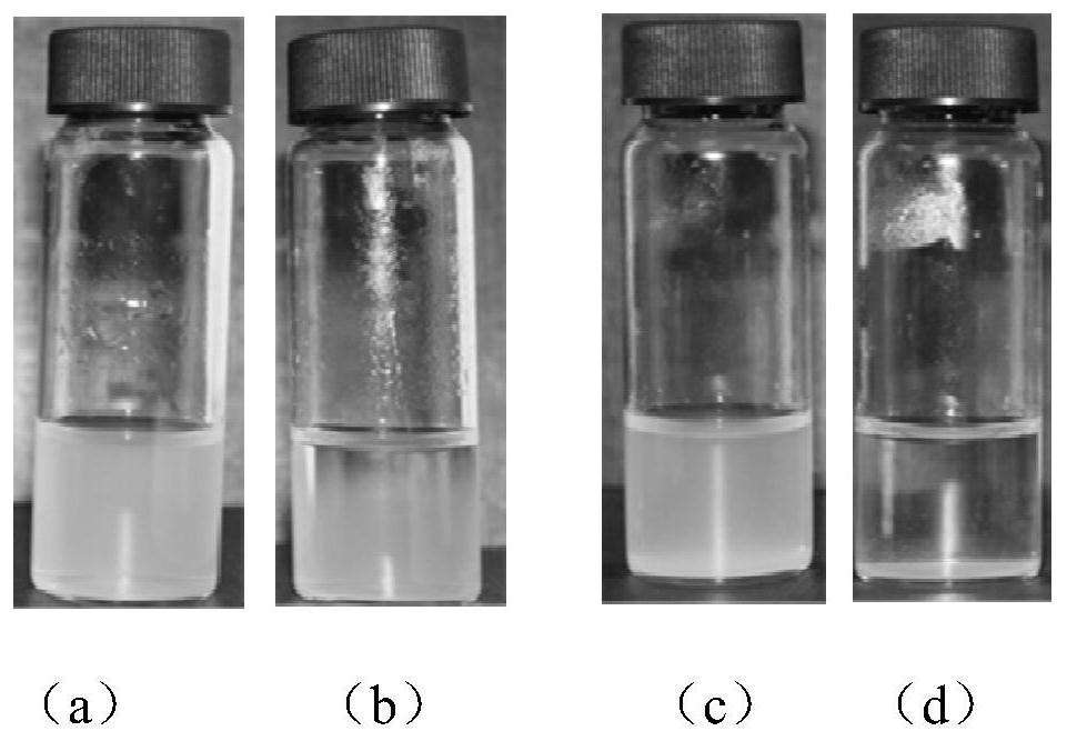 Bioactive Glass Nanoparticles Physiological Environment Stability Modification Method and Biomedical Application