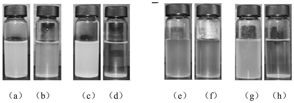 Bioactive Glass Nanoparticles Physiological Environment Stability Modification Method and Biomedical Application