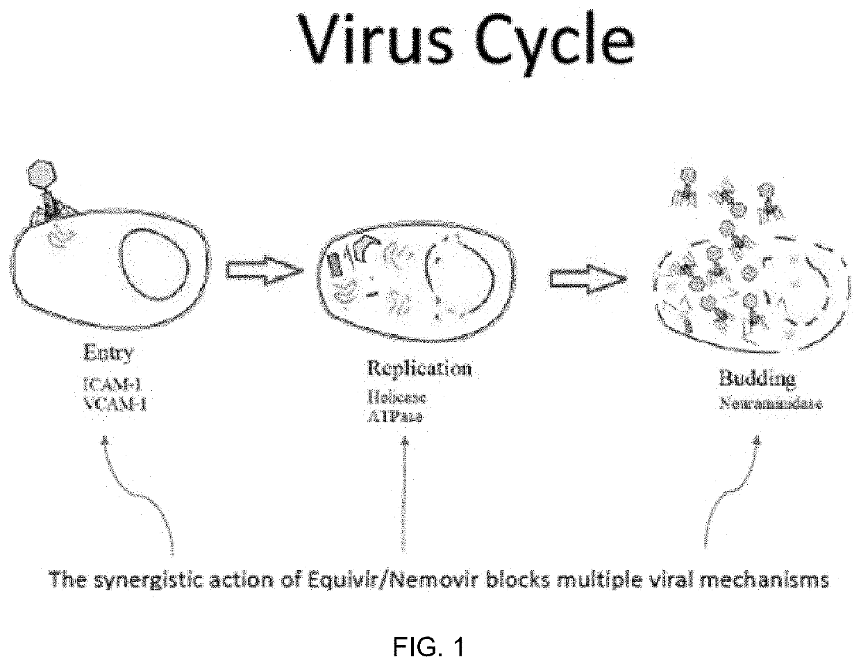 Method and composition for preventing and treating viral infections