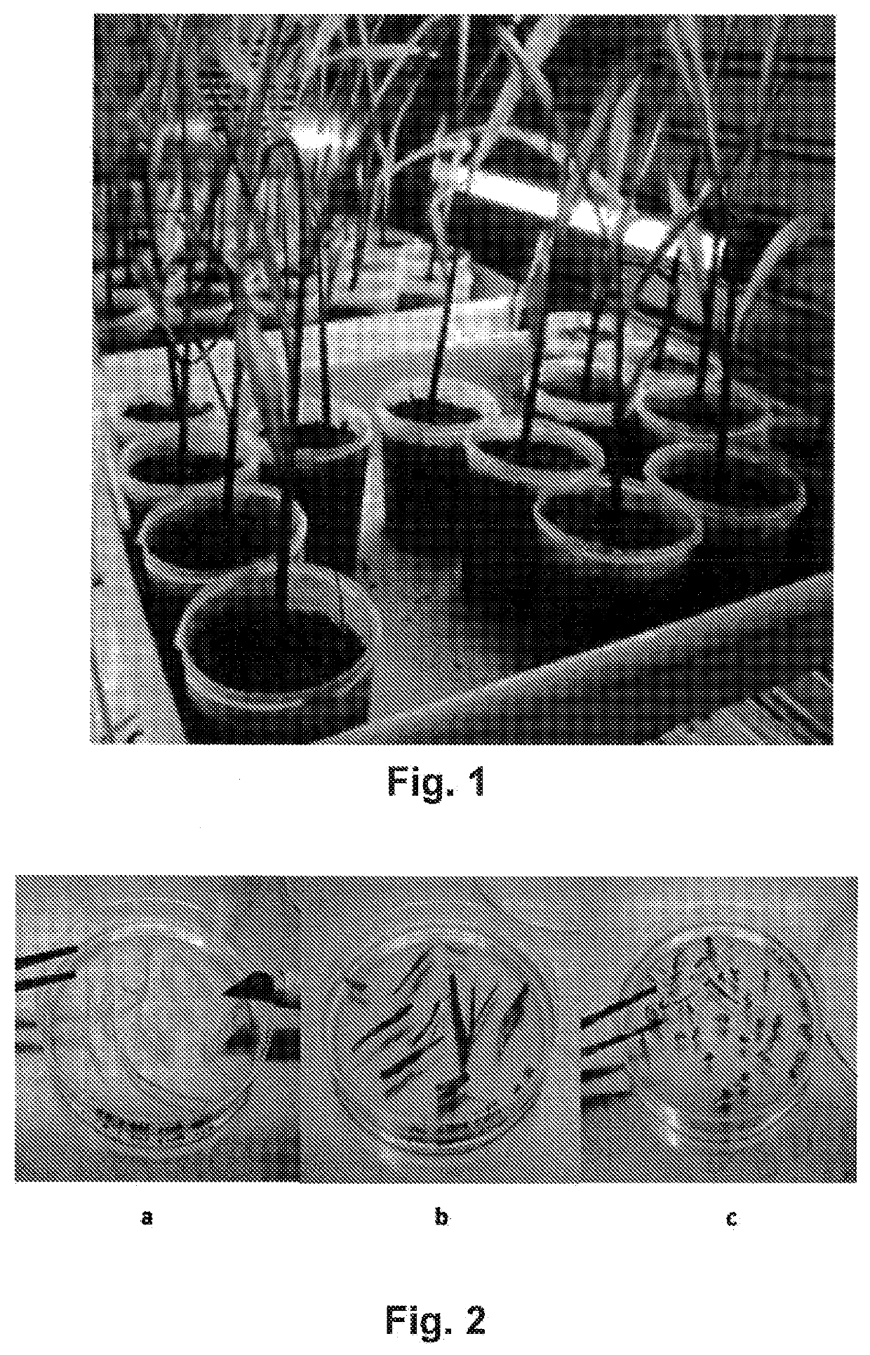 Methylobacterium sp. nov. strain, compositions comprising it, and its use as biostimulant and endophyte nitrogen-fixing bacterium
