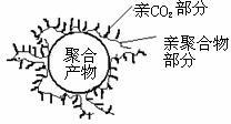 Surfactant for polymerization reaction in supercritical carbon dioxide