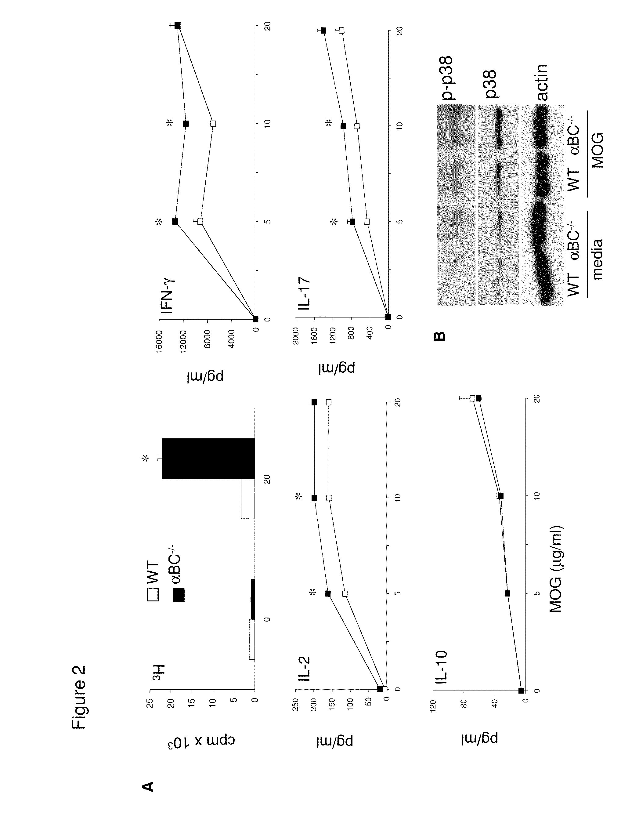 Alpha B-Crystallin as a therapy for inflammation