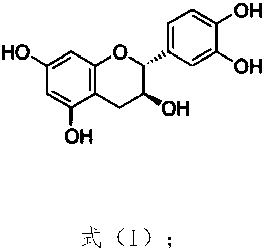 Application of catechin-containing medicine in preparation of antibacterial medicine