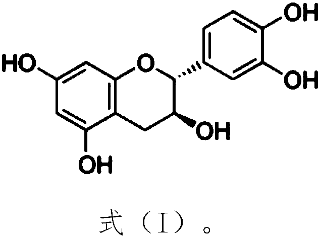 Application of catechin-containing medicine in preparation of antibacterial medicine