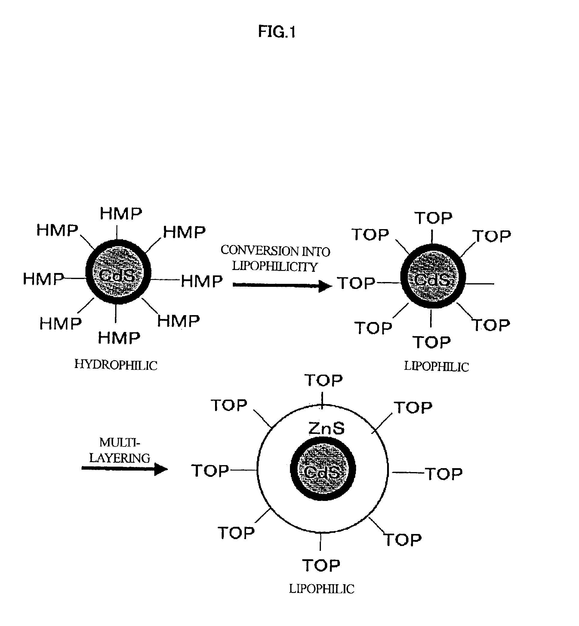 Method of manufacturing a multi-layer semiconductor nanoparticle, and a multi-layer semiconductor nanoparticle manufactured by the method