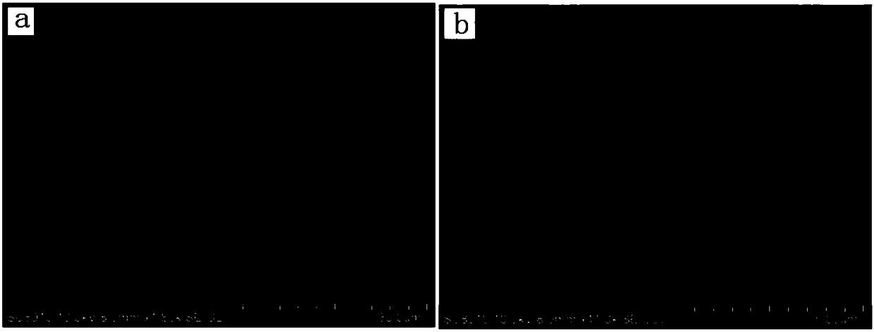 Preparation method and application of LiNi&lt;0.8&gt;Co&lt;0.2&gt;O&lt;2&gt; material