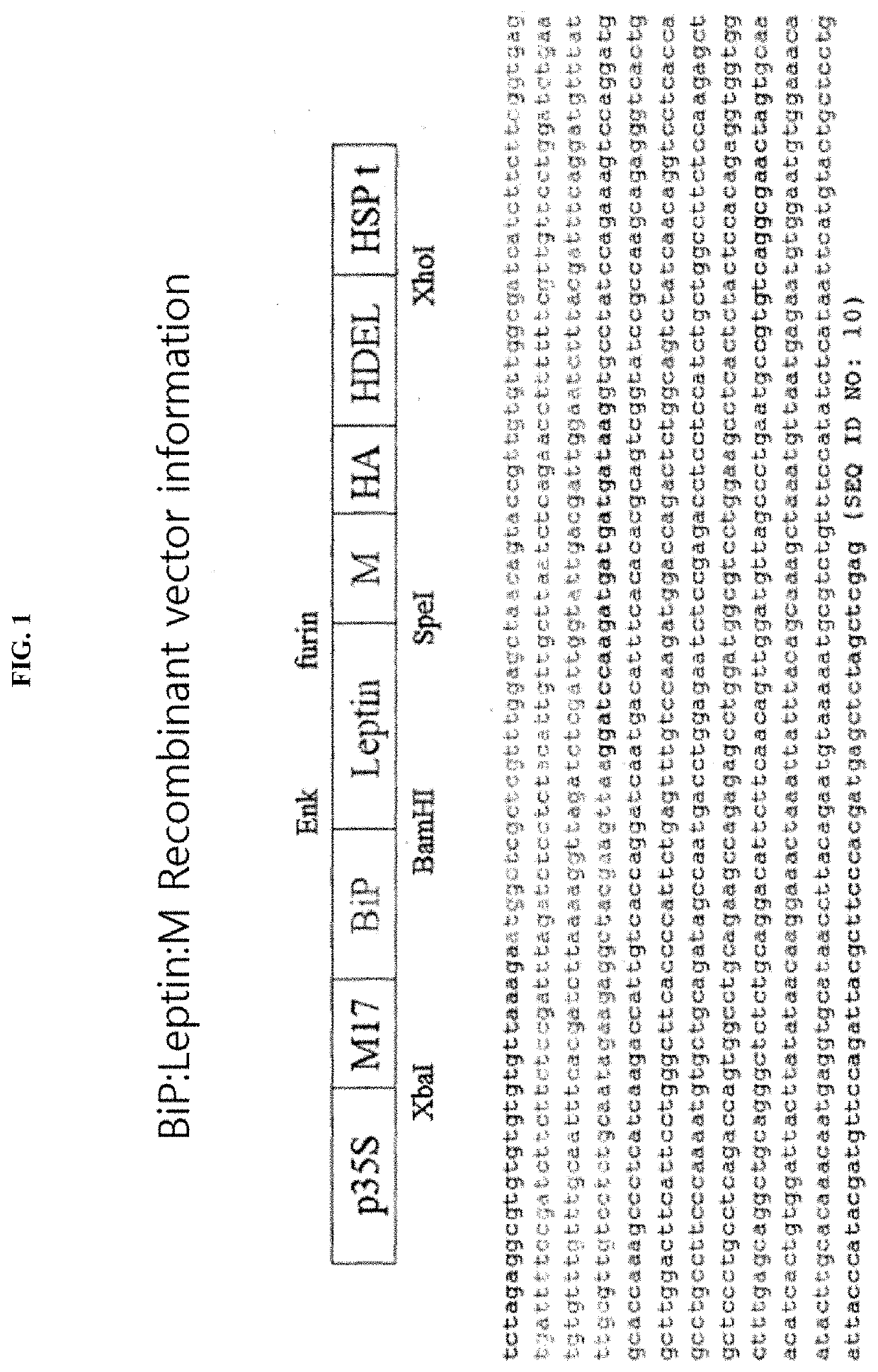 Recombinant vector for expressing target protein in plant cell