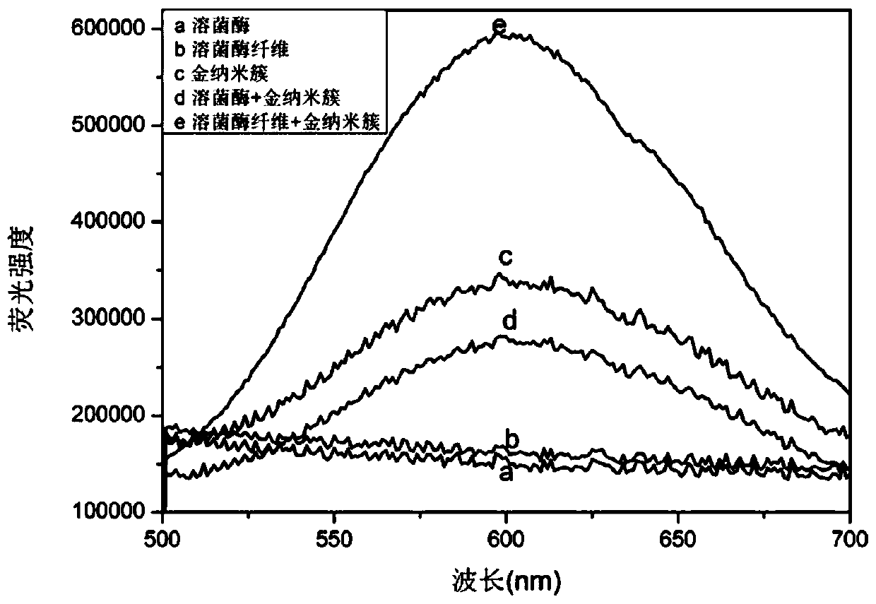 Application of gold nano-cluster in detection of protein amyloid fibrosis in biological sample and screening of inhibitor