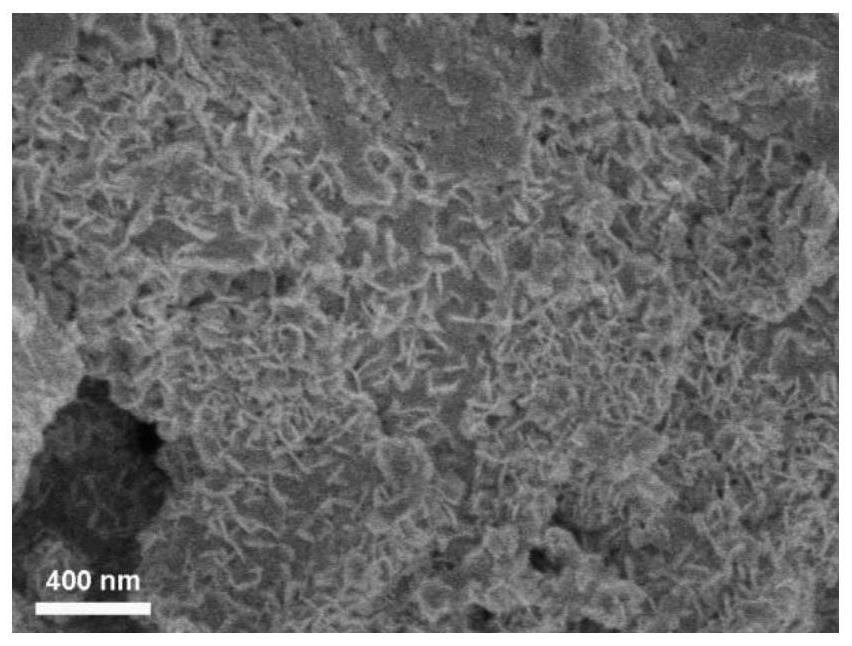 Crescent MoS2/oxidized pomace carbon sodium ion battery negative electrode material and preparation method thereof
