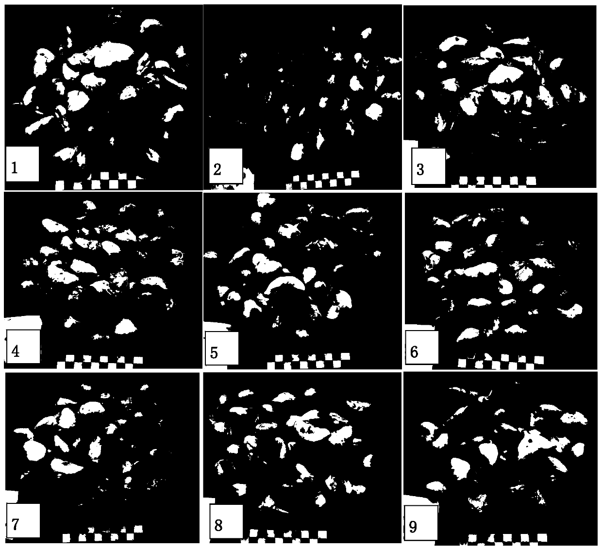 Method for preservation, purification and rejuvenation of germplasm of trapa acornis nakano