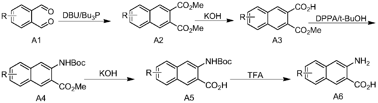 Process for preparing 3-amino-2-naphthoic acid compound