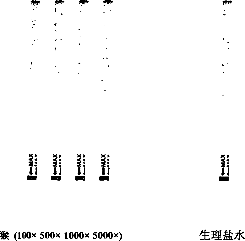 Antihuman hemoglobin detection reagent strips and monoclone antibody contained therewith