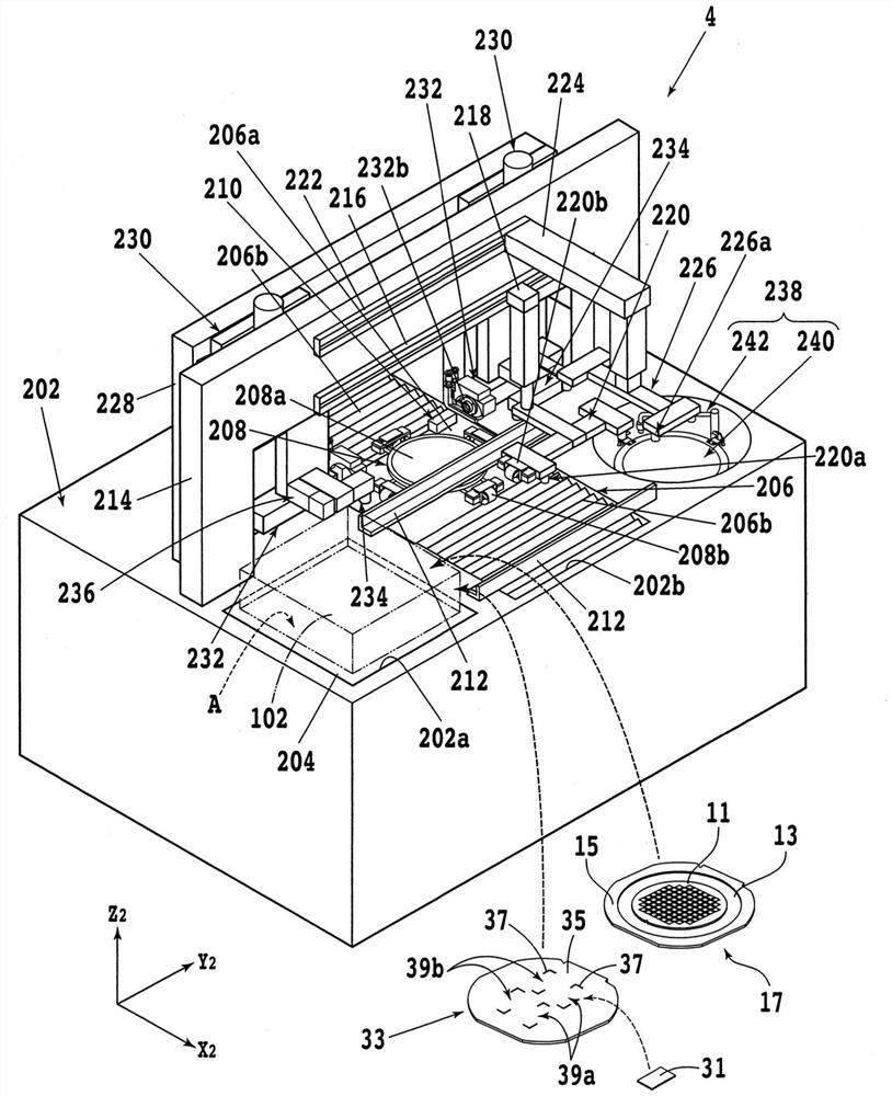 Cutting apparatus, tray, and transport system