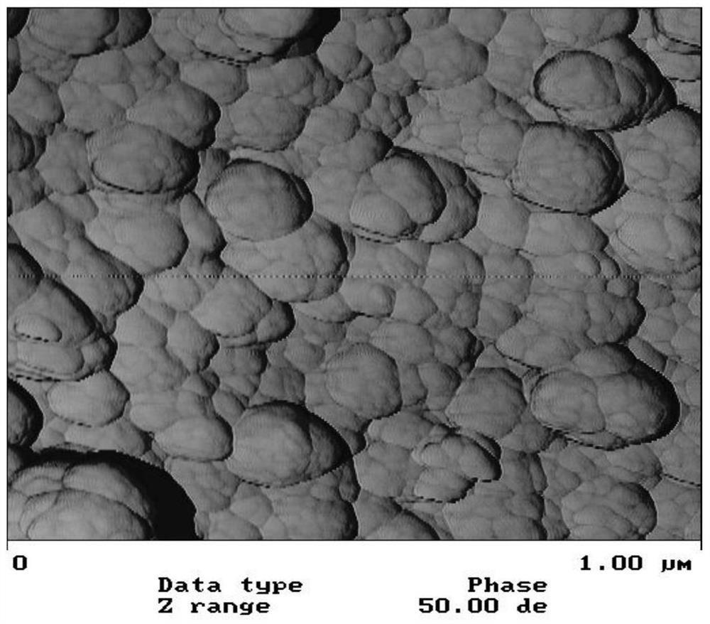 An alkaline silane-doped borate water-based environmental rust inhibitor for rebar surface treatment