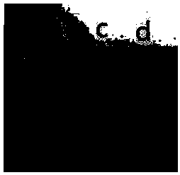 Superficially porous magnesium oxide-sludge carbon hollow sphere ozone catalyst and preparation method and application thereof