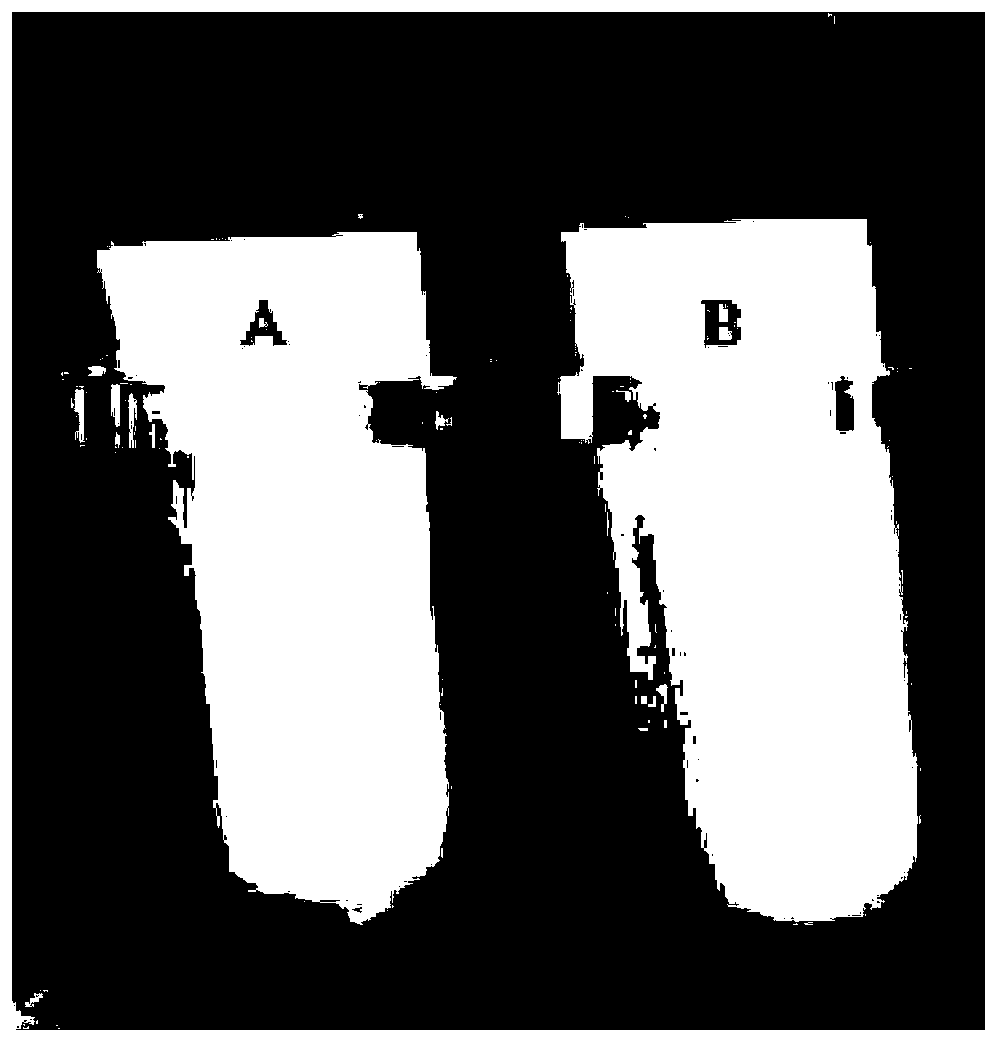 Preparation method of plant essential oil emulsion for inhibiting growth of fusarium graminearum