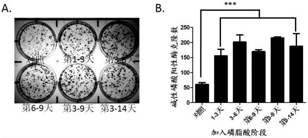 Culture medium and method for increasing somatic cell reprogramming efficiency